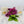 Load image into Gallery viewer, Classic Candle Collection